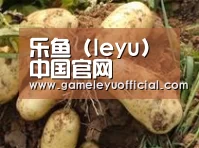 产品展示标题2