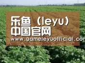 种植基地五