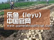 种植基地八
