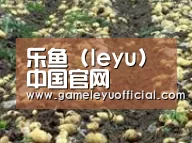 种植基地八(图1)