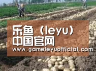 种植基地七(图1)