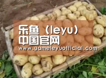 产品展示标题3
