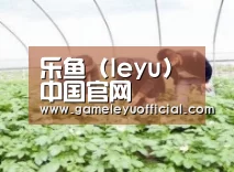 种植基地三