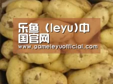 产品展示标题6