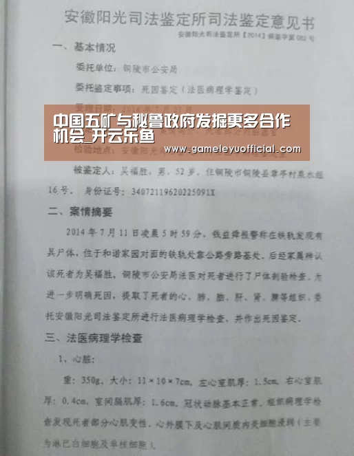 乐鱼